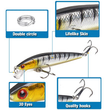 Load image into Gallery viewer, TOP Selling 10Pc Minnow set