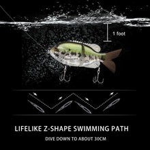Load image into Gallery viewer, Large Jointed Hard Lures For Large Fish