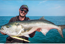 Load image into Gallery viewer, 205mm (8.07 in) 31g Floating and 36g Sinking long cast pencil stickbaits lure