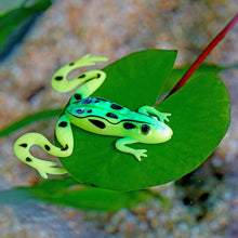 Load image into Gallery viewer, 3pcs Frog Fishing Lures 85mm/13g Soft Artificial Rubber Frog Baits