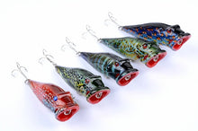 Load image into Gallery viewer, Hopper Popper 5pc Set Top water Lures