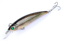 Load image into Gallery viewer, 12Pcs/Lot 3D  Fishing Lure Hard Bait 11cm/13.4g Minnow