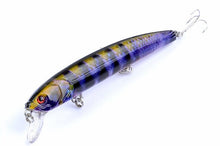 Load image into Gallery viewer, 6 pc Set Hard Lifelike Minnow Lures