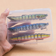 Load image into Gallery viewer, Slithering Segmented eel lure set
