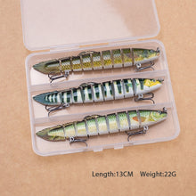 Load image into Gallery viewer, Slithering Segmented eel lure set