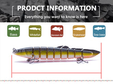 Load image into Gallery viewer, Slithering Segmented eel lure set