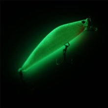 Load image into Gallery viewer, Luminous Minnow Fishing Lure