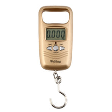 Load image into Gallery viewer, Hanging Fishing Hook Scale