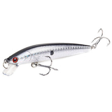 Load image into Gallery viewer, TOP Selling 10Pc Minnow set