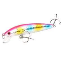 Load image into Gallery viewer, TOP Selling 10Pc Minnow set