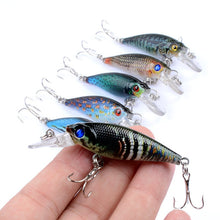 Load image into Gallery viewer, 6pc set Vivid and Realistic Lures