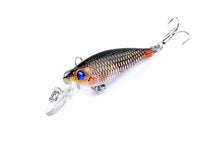 Load image into Gallery viewer, 6pc set Vivid and Realistic Lures