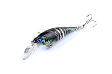 Load image into Gallery viewer, 6pc set Vivid and Realistic Lures