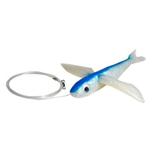 Load image into Gallery viewer, Flying Fish