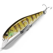 Load image into Gallery viewer, Bearking 100SP Suspending Minnow Jerkbait (10cm, 15g)