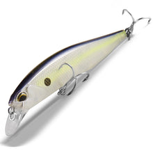 Load image into Gallery viewer, Bearking 100SP Suspending Minnow Jerkbait (10cm, 15g)
