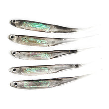 Load image into Gallery viewer, T-Tail Soft Plastic Lures 5-Pack