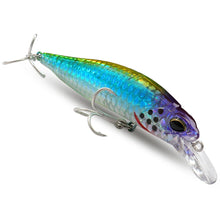Load image into Gallery viewer, Floating and Sinking Minnow Lure Kit