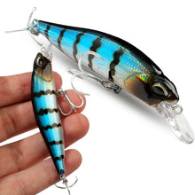 Load image into Gallery viewer, Floating and Sinking Minnow Lure Kit