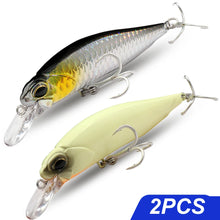 Load image into Gallery viewer, Floating and Sinking Minnow Lure Kit