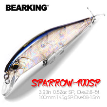 Load image into Gallery viewer, Bearking 100SP Suspending Minnow Jerkbait (10cm, 15g)