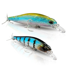 Load image into Gallery viewer, Floating and Sinking Minnow Lure Kit