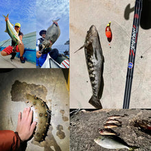 Load image into Gallery viewer, BIUTIFU Traveller Fuji-Guide Carbon Rod (1.8–3.0m)