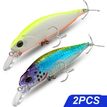 Load image into Gallery viewer, Floating and Sinking Minnow Lure Kit