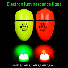 Load image into Gallery viewer, Electronic Night Luminous Fishing Float