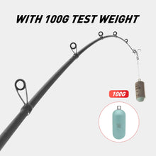 Load image into Gallery viewer, Inshore Long-Cast Seabass Spinning Rod with Fuji Guides (2.7–2.9m)