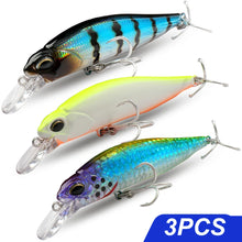 Load image into Gallery viewer, Floating and Sinking Minnow Lure Kit