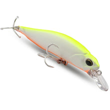 Load image into Gallery viewer, Floating and Sinking Minnow Lure Kit
