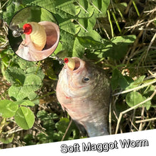 Load image into Gallery viewer, Sequin Spinner Worm Flies, 5- or 10-Pack