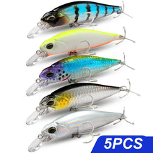 Load image into Gallery viewer, Floating and Sinking Minnow Lure Kit