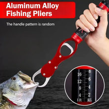 Load image into Gallery viewer, Lip Grip Fish Scale Tool