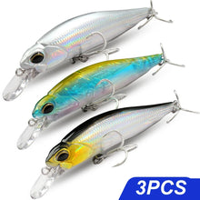 Load image into Gallery viewer, Floating and Sinking Minnow Lure Kit