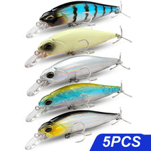 Load image into Gallery viewer, Floating and Sinking Minnow Lure Kit