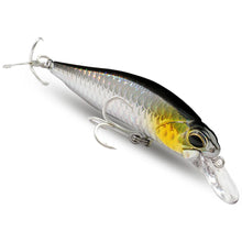 Load image into Gallery viewer, Floating and Sinking Minnow Lure Kit