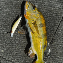 Load image into Gallery viewer, Floating and Sinking Minnow Lure Kit