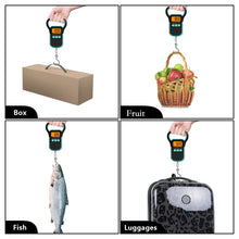 Load image into Gallery viewer, Hanging Fish Scale with Ruler and Catch