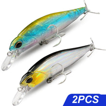 Load image into Gallery viewer, Floating and Sinking Minnow Lure Kit