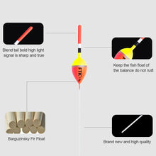 Load image into Gallery viewer, FTK Carp Big-Belly Vertical Floats 5-Pack