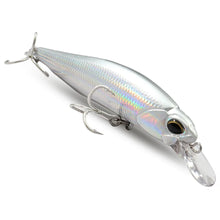 Load image into Gallery viewer, Floating and Sinking Minnow Lure Kit