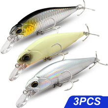 Load image into Gallery viewer, Floating and Sinking Minnow Lure Kit