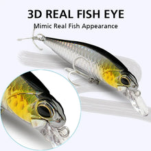 Load image into Gallery viewer, Floating and Sinking Minnow Lure Kit