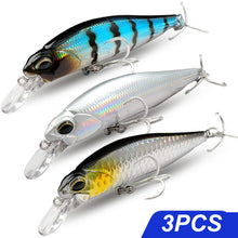 Load image into Gallery viewer, Floating and Sinking Minnow Lure Kit