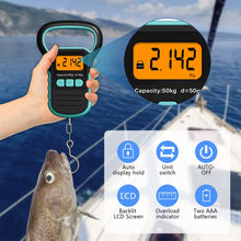 Load image into Gallery viewer, Hanging Fish Scale with Ruler and Catch