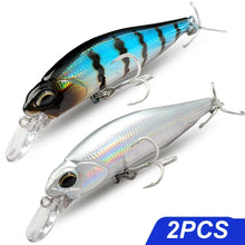 Load image into Gallery viewer, Floating and Sinking Minnow Lure Kit