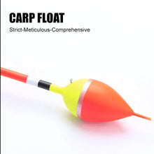 Load image into Gallery viewer, FTK Carp Big-Belly Vertical Floats 5-Pack