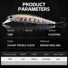 Load image into Gallery viewer, MEREDITH Jerk Minnow 100F Floating Wobbler (10cm, 14g)